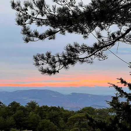 Vilat Alpine Golden Gjinar * Elbasan