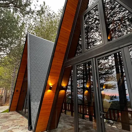 Vilat Alpine Golden Gjinar *