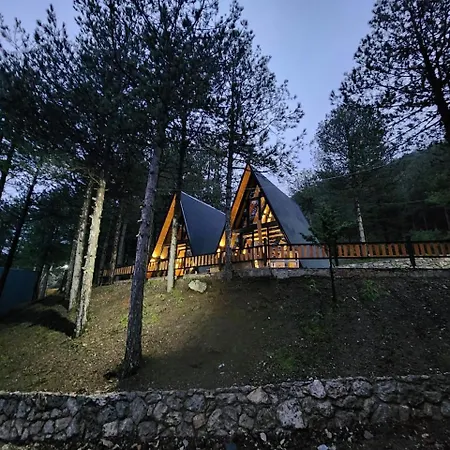 Vilat Alpine Golden Gjinar *