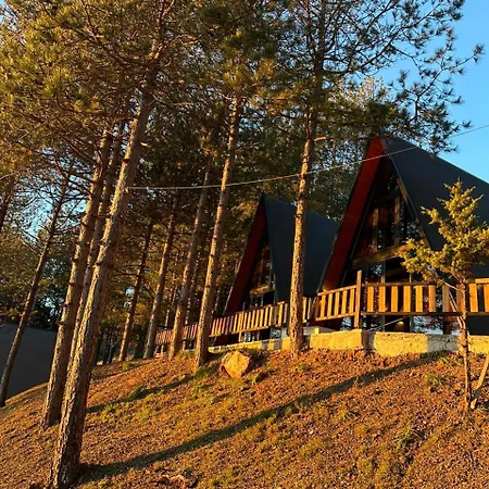 Vilat Alpine Golden Gjinar *