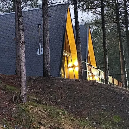 Vilat Alpine Golden Gjinar Villa Elbasan