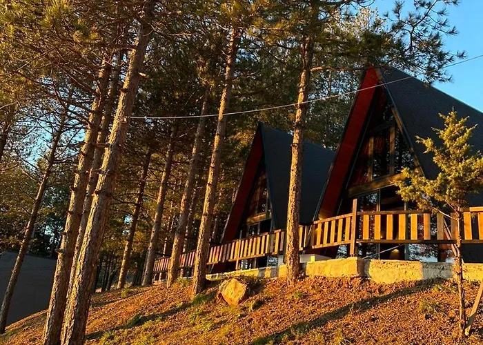 Vilat Alpine Golden Gjinar *